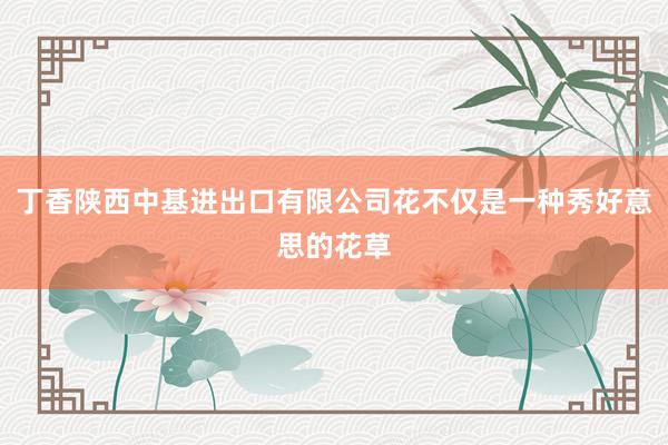 丁香陕西中基进出口有限公司花不仅是一种秀好意思的花草